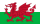 Flag of Wales (1959â€“present).svg