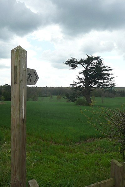 File:Footpath to The Grove - geograph.org.uk - 3184479.jpg