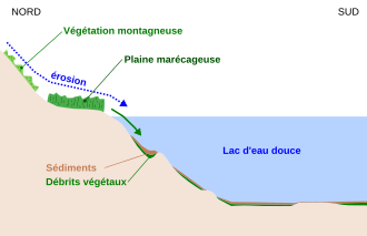 Diagramy ukazující, jak eroze přináší zbytky rostlin do jezera, než je pokryto sedimentem.