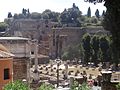 Forum Romanum and Palatine Hill at the back 01.jpg