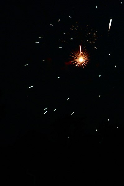 File:Fourth of July Fireworks (3692260340).jpg