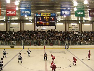 <span class="mw-page-title-main">Ira S. Wilson Ice Arena</span> Sporting Venue in New York, USA