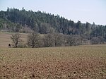 Geschützter Landschaftsbestandteil Krähengrund