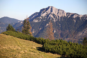 Blick auf den Gippel von Westen (Göllerwiese)