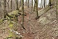 Graben und Vorwall im Westen des Kleinen Everstein