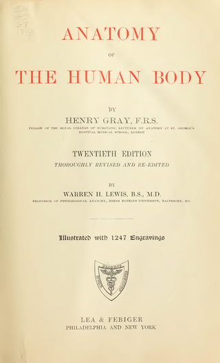 <i>Grays Anatomy</i> Textbook of human anatomy