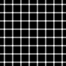 An example of the scintillating grid illusion. Dark dots seem to appear and disappear at intersections. Grid illusion.svg