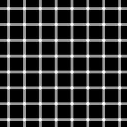 Grid illusion