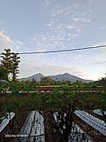 Gambar mini seharga Gunung Sago