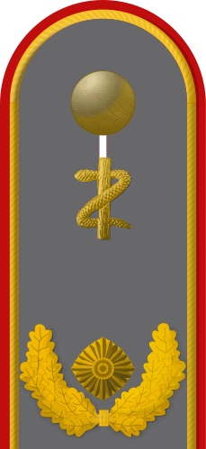 gold/oliv Luftwaffe Bw Rang Generalleutnant