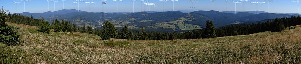 Widok z Hali na Muńczole na graniczny grzbiet ze szczytami Grupy Oszusa
