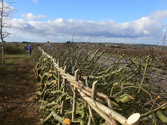 Agricultural fencing - Wikipedia