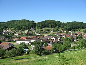 Zügelhelfer Hellikon, Zügelhelfer Hellikon