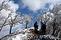 Mount Takami / 高見山