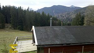 The only remaining alpine hut of the Holzeralm