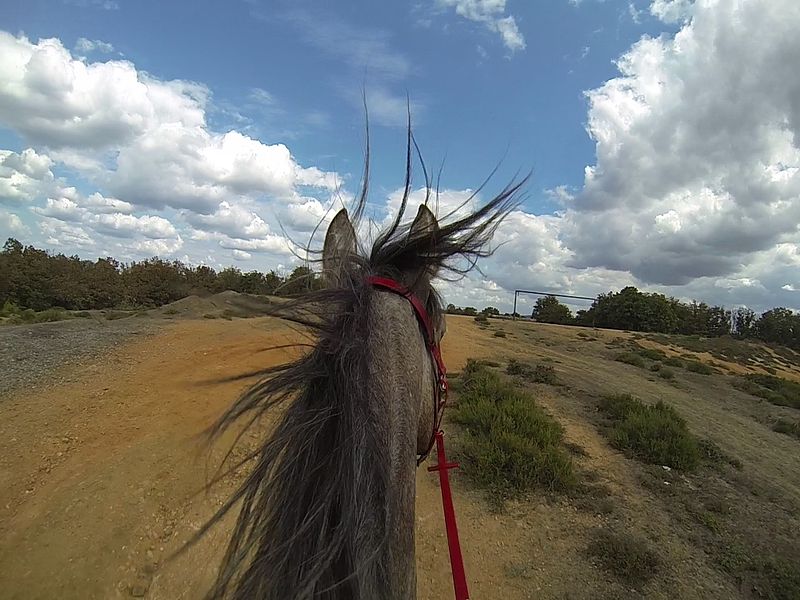 File:Horse riding 0148 Leyla 083.jpg