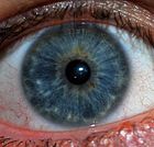 Human Iris JD052007.jpg