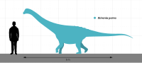 Ibirania Size Comparison.svg