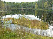 Parque Nacional Isojärvi.jpg