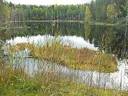 A small pond in Isojärvi National Park