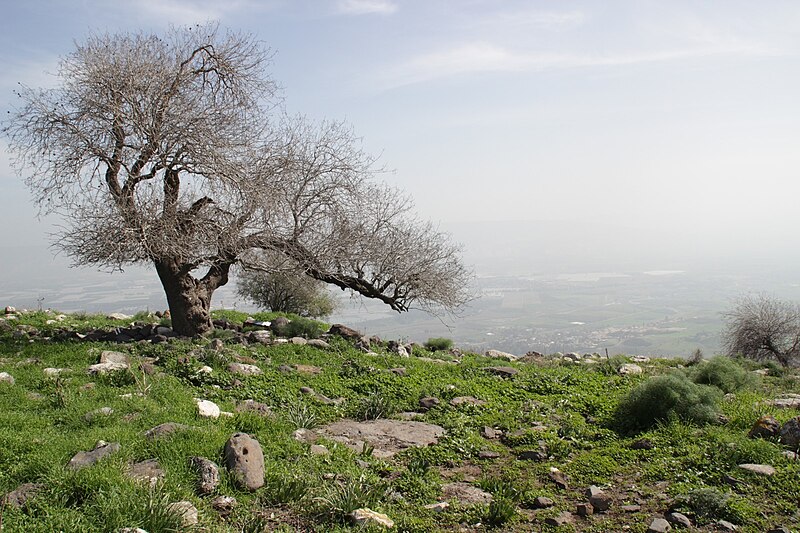 File:Israel Hiking Map ספריית שביל ישראל 1.jpeg