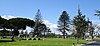 Исторически район Ivy Lawn Cemetery (Ventura Historic District) .jpg