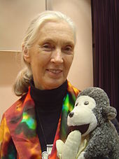 Porträt von Jane Goodall mit einem Stoffaffen auf dem Arm aus dem Jahr 2006
