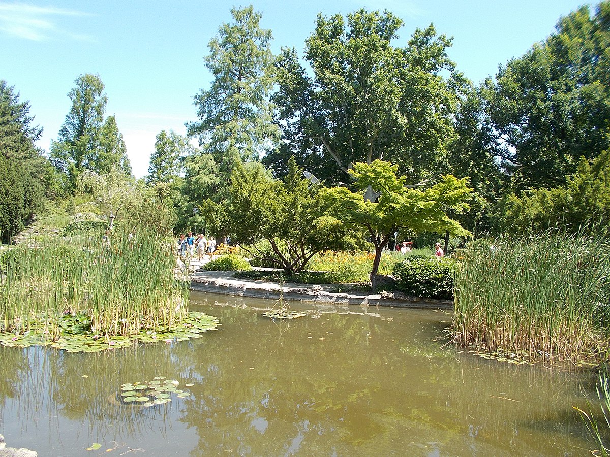 File Japanese Garden Reeds Margaret Island Budapest Hungary