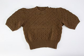 <span class="mw-page-title-main">Jersey (clothing)</span> Knitted pullover