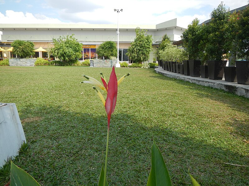 File:JfCamaligPerezEmaTownCenterMeycauayanBulacan0004fvf 23.JPG