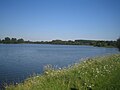 Jielbeauradier lac heron3 2007.jpg