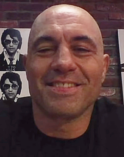 Joe Rogan American martial artist, podcaster, sports commentator and comedian