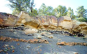 Känozoikum: Geschichte und Namensgebung, Gliederung des Känozoikums, Geographie, Umwelt und klimatische Entwicklung