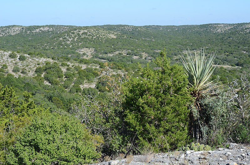 File:Kickapoo Cavern State Park, landscape.jpg