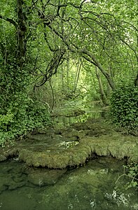 Okolice wodospadu Skradinski buk