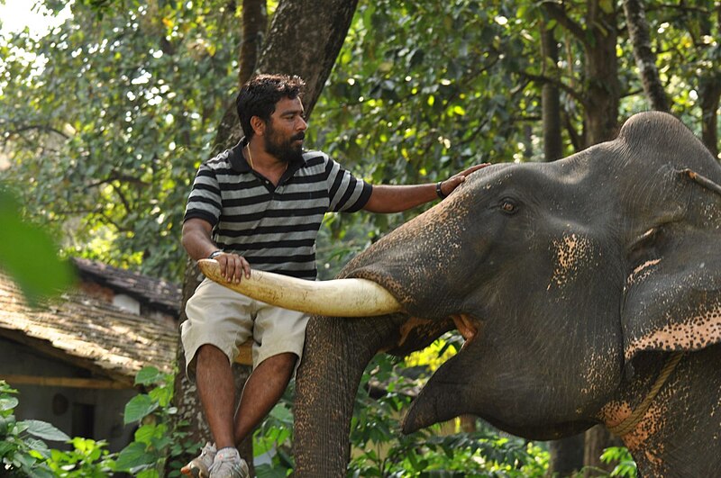 File:Kumki Latest Unseen Onlocation Stills.jpg