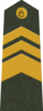 LV-Ejército-OR8.png