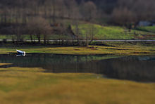 Miniature faking of Lake Plastiras' northernmost shore Lake Plastira (tilt-shift).jpg