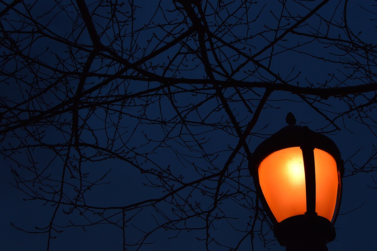 Lamp post at night.jpeg