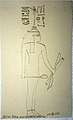 Leo Reinisch Handschriftliche Studien zu Hieroglyphen in einem ägyptischen Königsgrab 2.jpg