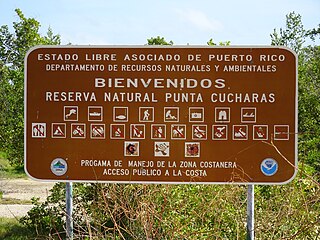<span class="mw-page-title-main">Reserva Natural Punta Cucharas</span> Nature reserve in Ponce, Puerto Rico