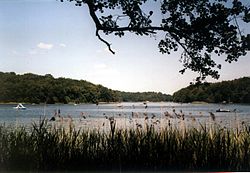 Liepnitzsee 2006.jpg