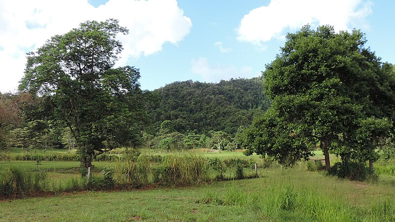 File:Looking south over fields from Bramston Beach Road, Bramston Beach, 2018.jpg