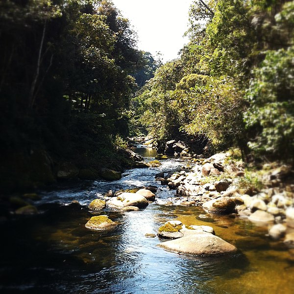 File:Macaé River.jpg