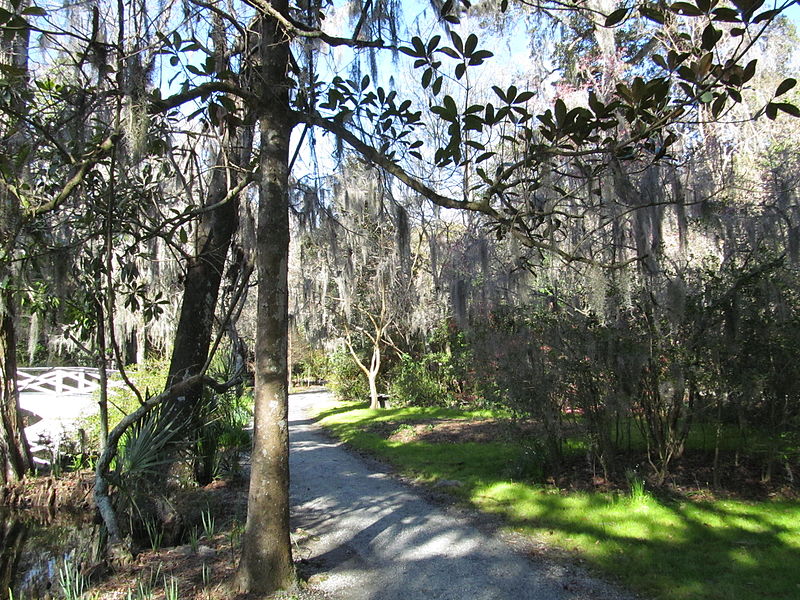 File:Magnolia Plantation and Gardens - Charleston, South Carolina (8555452587).jpg