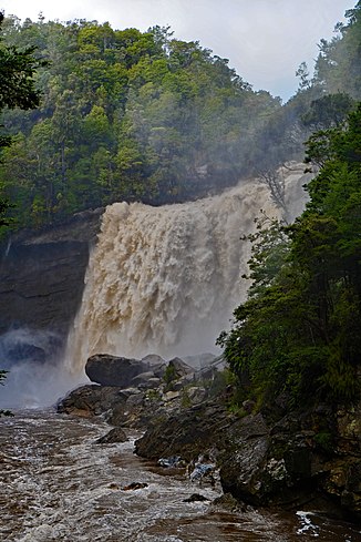 Einmündung der Mangatini Falls in den Ngakawau River (vorne) nach einem Regenfall, 2013