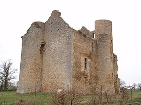 Illustrativt billede af artiklen Château de Montlebeau