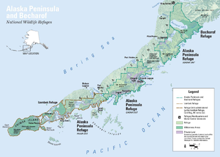 <span class="mw-page-title-main">Alaska Peninsula</span> Peninsula extending towards the Aleutian Islands in Southwest Alaska, United States