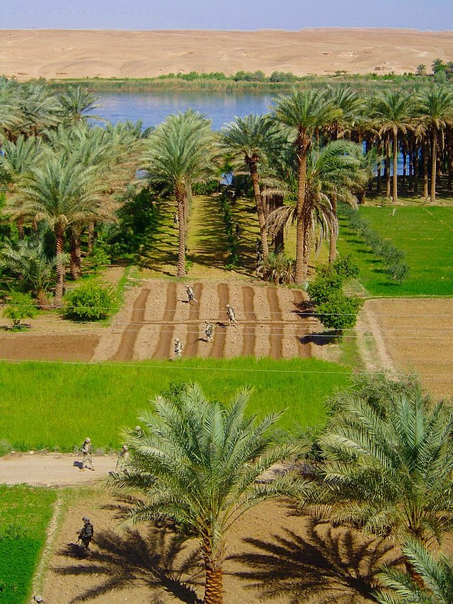 soldier walking through farmland with a river in the background