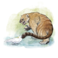 †Thylacoleo carnifex